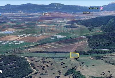 Teren de 10000 mp, în Dumbrăvița - 7