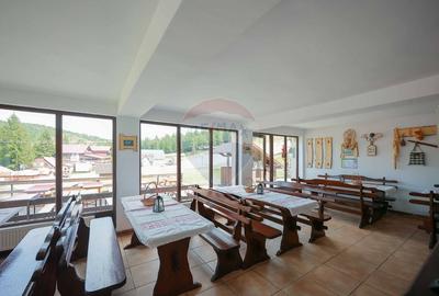 Oportunitate de investitie, Restaurantul Piatra Graitoare,Vartop,Bihor - 14