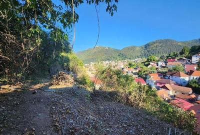 CASA CU TEREN IN Cartierul Schei - 2