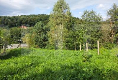 Teren cu AC pe Valea Capriorii Feleacu - 5