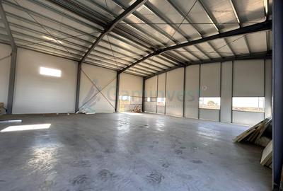 Hala nouă de vânzare la 2 minute de calea borsului,Sântion,Bihor,Gaminvest,V4262 - 2