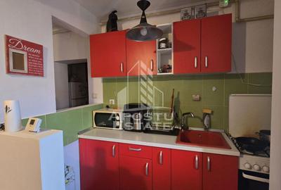 Apartament cu 3 camere, centrala proprie, zona Aradului - 3