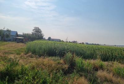 Vanzare Teren Rezidential Cernica 4000mp - 5