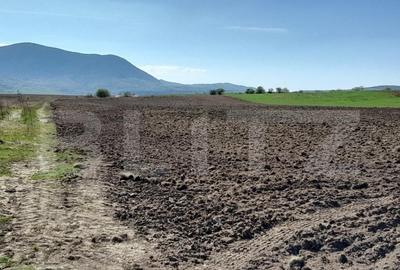 Teren de 15000 mp, în Central