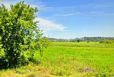 Teren de 2400 mp, în Slătioara - 2