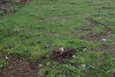 Teren de 1000 mp, în Ștefăneștii de Jos - 1