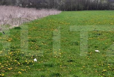 Teren intravilan 365mp,cu Puz aprobat prin HCL,in Borhanci - 3