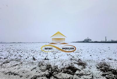 Teren de 4579 mp, în Schineni (Săucești) - 8