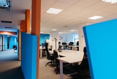 Tudor Vladimirescu - spatiu birouri clasa A, READY TO MOVE - 14