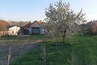 Casă cu 2 camere în Central - 6