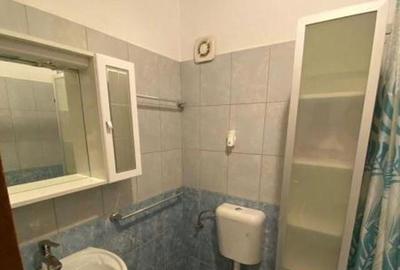 Dimitrie leonida studio dubla drumul fermei - 16