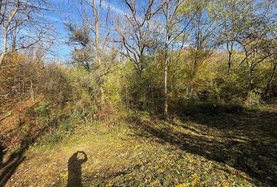 Teren langa pădure 6400mp-casa demolabile-deschidere 35 ml - 15