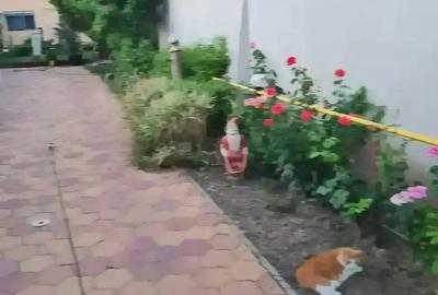 Casă cu 2 camere în Central - 4