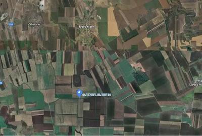 Teren de 9500 mp, în Cobadin - 4