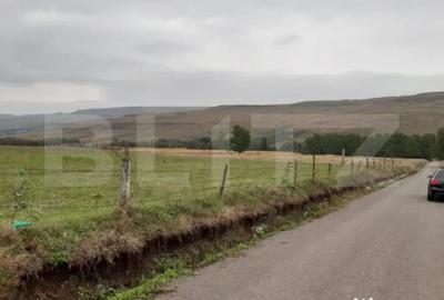 Teren de 5000 mp, în Fălticeni - 2