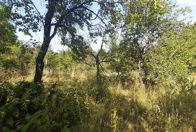 Teren Construcții intravilan de 5500 mp, în Vest - 3