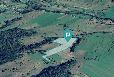 Teren de 92294 mp, în Hălmagiu - 4