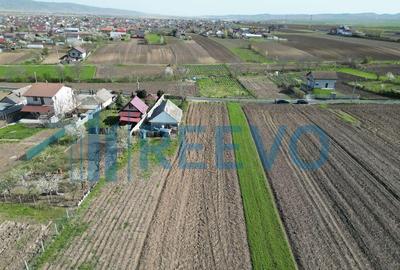 Teren de vanzare, Com. Nicolae Balcescu, Jud. Bacau - 9
