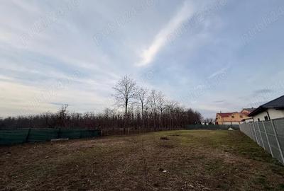 Spațiu comercial, în Horia - 1