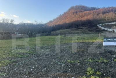 Teren de 1000 mp, în Viișoara - 2