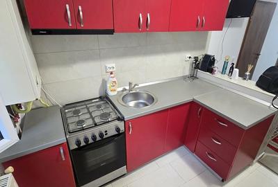 Apartament cu 2 camere decomandat în Făget - 9