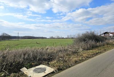 Teren de vanzare in Silistea Snagovului - 13.800 mp. - 4