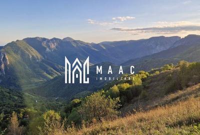 Teren de 117000 mp, în Râmeț - 14