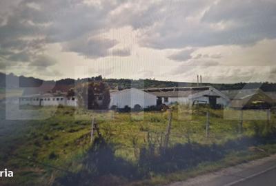 Spațiu comercial, de 3,000 mp, în Arini - 4