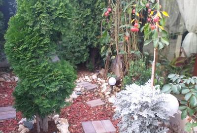 Casă în Trivale - 3