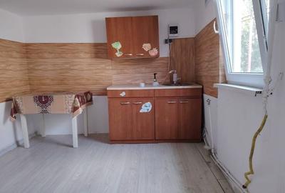 De vânzare casă stradă Grădina Veche De vânzare casă stradă Grădina Veche - 5