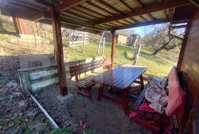 Teren 300 mp + Cabana,zona Livezile,Valea Lunga - 4