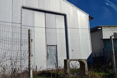 Spațiu industrial, de 1,350 mp, în Sinești - 8