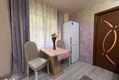 Apartament cu 2 camere în Mureșeni - 7