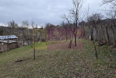 Teren Construcții intravilan de 800 mp, în Lunca Mare - 2