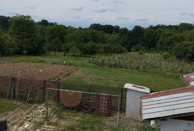 Casă cu 2 camere cu Teren 8000 Mp în Budieni - 4