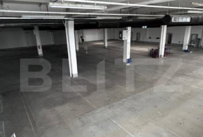 Hala Moderna in LUDUS la 7 km de autostrada, la cheie. - 3