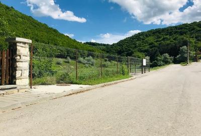 BABADAG -TEREN INTRAVILAN , 1000 MP - 2