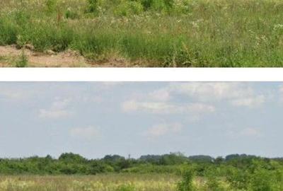 Teren Costestii din Vale, ID: R2582235 Teren Costestii din Vale, ID: R2582235 - 6