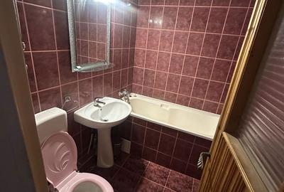 Apartament cu 2 camere decomandat în Nufărul - 2