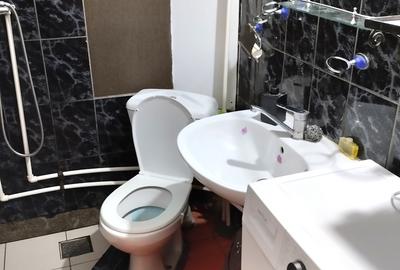 Giurgiului 164, M. Eroii Revolutiei, termen scurt, 160 lei/zi - 17