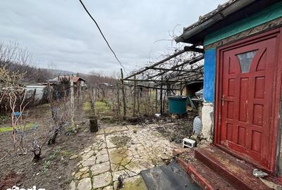 Casă cu 3 camere cu Teren 600 Mp în Săhăteni - 3