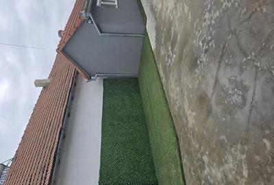 Vand casa cu gradina in Ciumeghiu - 8