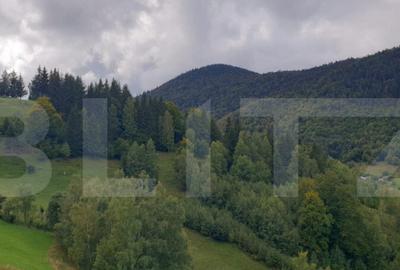 Teren 13.570 mp, Moieciu Pestera - 3