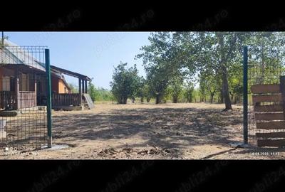 Casă cu 3 camere cu Teren 5013 Mp în Dogari - 6