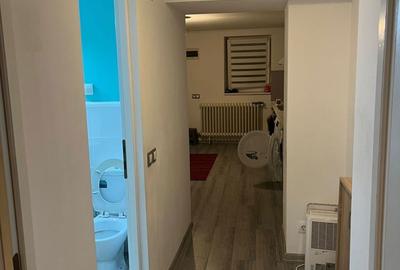Apartament cu 2 camere semidecomandat în Dosu Bricii - 7