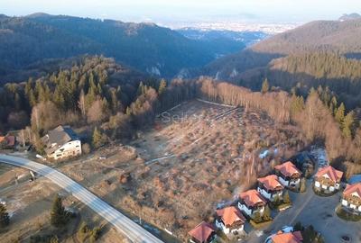 Teren 28.000mp Poiana MIca intre Monterai si Grand Chalet - 5