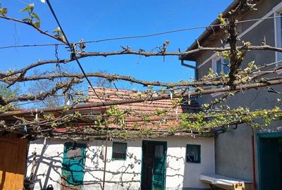 Casă cu 3 camere cu Teren 1000 Mp în Iclod - 2