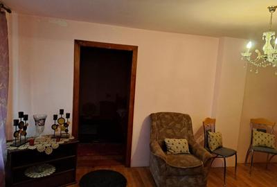 Casa mare cu 2 spatii comerciale, in Faget - 9