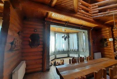 Vila de vacanta situata in Busteni - 2