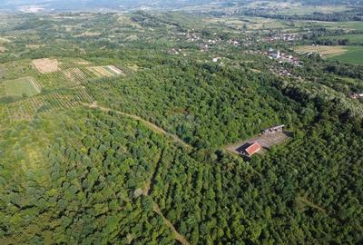 OPORTUNITATE PENTRU DEZVOLTATORI Teren de vanzare Sa... - 7